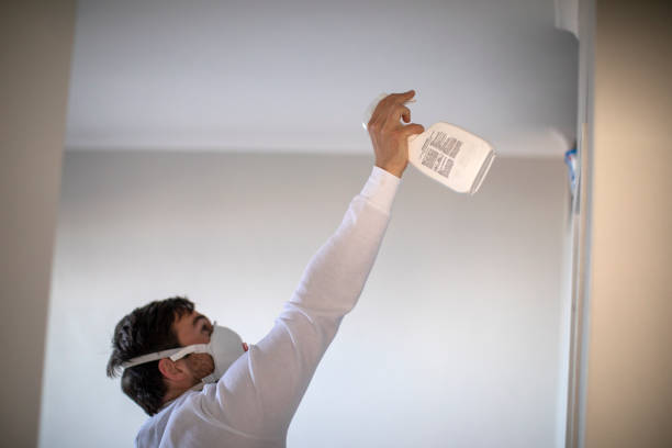 Best Insurance-Related Mold Remediation in Stallion Springs, CA