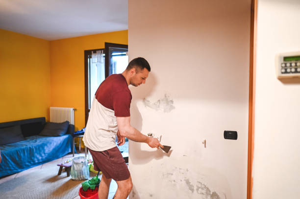 Best Mold Remediation for Specific Building Types in Stallion Springs, CA